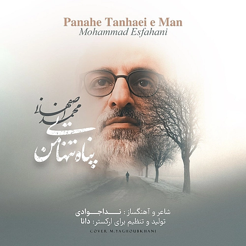 Cover artwork for Panahe Tanhaei Man by Mohammad Esfahani